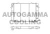 AUTOGAMMA 100697 Radiator, engine cooling